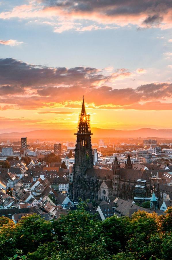 Lux In Der Stadt * Freiburg im Breisgau