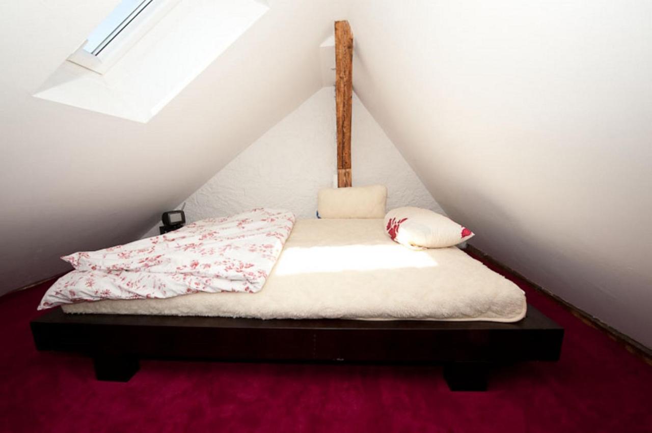 Apartment Lux In Der Stadt